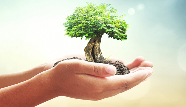 Hand with small tree
